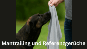 Ein K9-Hund riecht konzentriert an einem grauen T-Shirt, das ihm von einer Person hingehalten wird – Symbolbild für die Arbeit mit Referenzgerüchen im Mantrailing.